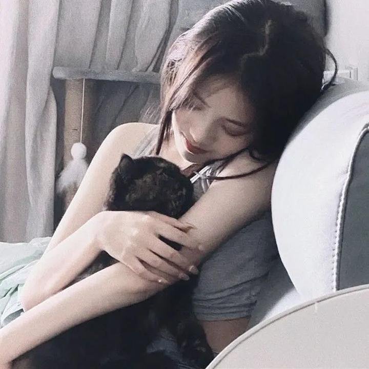 无毛犬奇遇记