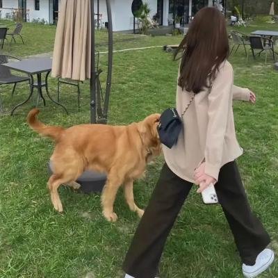 尼尔·布伦南：心结